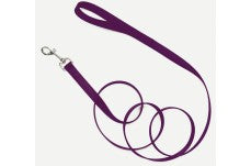 Coastal Single-Ply Nylon Dog Leash Purple 3/4 in x 6 ft