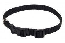 Coastal Adjustable Nylon Dog Collar with Plastic Buckle Black 5/8 in x 10-14 in