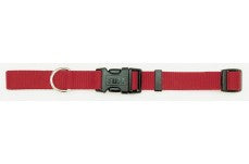 Coastal Adjustable Nylon Dog Collar with Plastic Buckle Red 3/8 in x 8-12 in