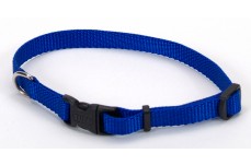 Coastal Adjustable Nylon Dog Collar with Plastic Buckle Blue 3/8 in x 8-12 in