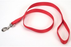 Coastal Single-Ply Nylon Leash Red 1X6Ft