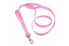 Coastal Single-Ply Nylon Leash Bright Pink1X4Ft