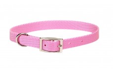 Coastal Single-Ply Nylon Collar Bright Pink 5/8X12In