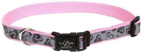 Lazer Brite Reflective Adjustable Dog Collar Turquoise 5/8 in x 12-18 in