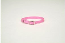 Coastal Single-Ply Nylon Collar Bright Pink 3/4X16In