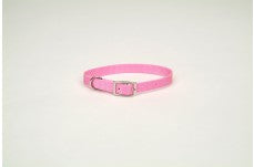 Coastal Single-Ply Nylon Collar Bright Pink 3/4X18In