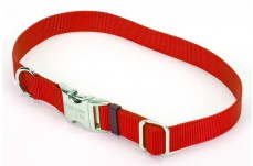 Coastal Adjustable Nylon Collar With Coastal Titan Metal Buckle Red 3/4X14-20In