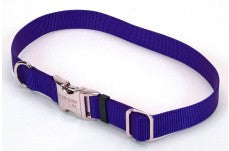 Coastal Adjustable Nylon Collar With Coastal Titan Metal Buckle Blue1X18-26In