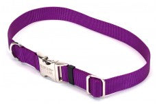 Coastal Adjustable Nylon Collar With Coastal Titan Metal Buckle Purple 1X18-26In