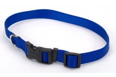 Coastal Adjustable Nylon Collar With Tuff Buckle Blue 1X20In