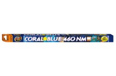 Zoo Med Coral Blue 460 NM T8 Lamp Blue 18 in