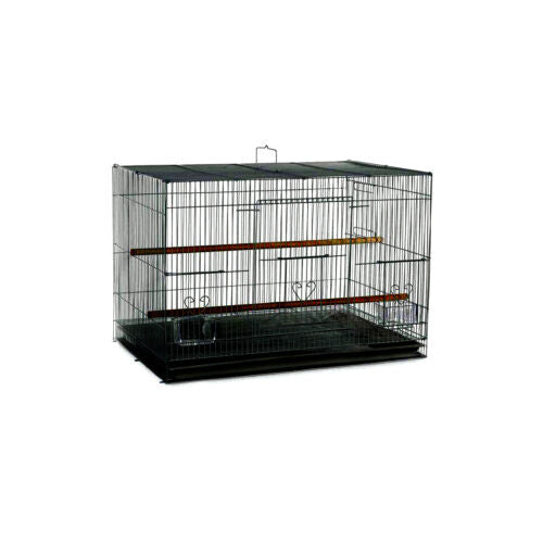 A & E Cages Flight Cage in Color Retail Box Black 24in X 16in