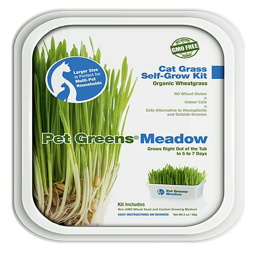 Bellrock Growers Cat Treats Greens and Greens Self Grow Tub