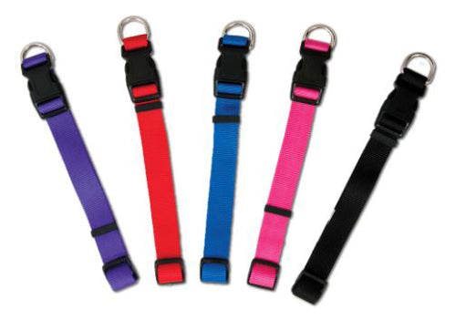 Aspen Basic Nylon Adjustable Dog Collar Red 1 in x 16-26 in Large