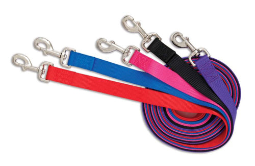Aspen Core Nylon Dog Leash Red 5/8 in x 5 ft Medium