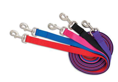 Aspen Core Nylon Dog Leash Royal Blue 5/8 in x 5 ft Medium