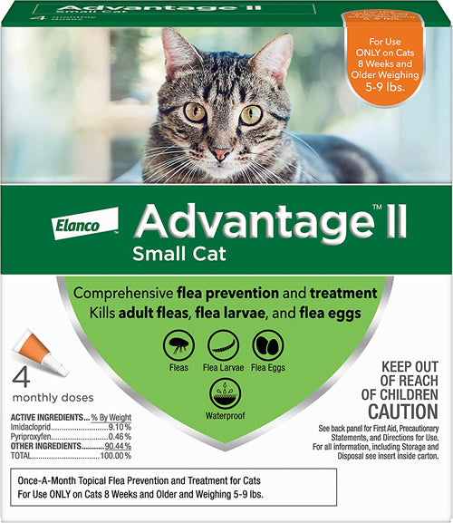 Advantage Cat Small  Orange 4-Pack