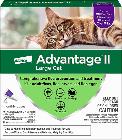 Advantage II Cat Large Purple 4-Pack