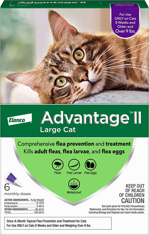 Advantage II Cat Large Purple 6-Pack