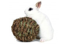 Marshall Pet Products Woven Grass Play Ball for Small Animals Light Green