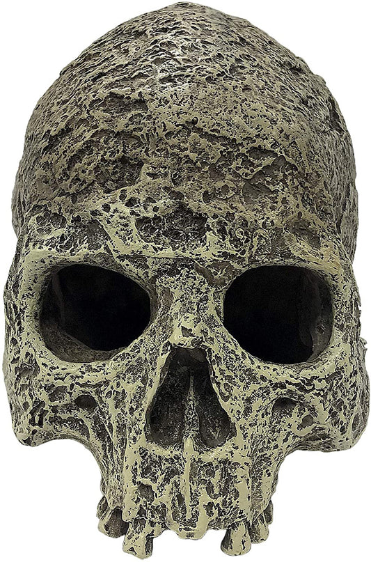 Komodo Textured Human Skull Reptile Hideout Gray One Size