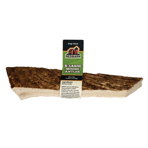 Redbarn Pet Products Moose Antler Dog Chew 12ea/XL, 12 ct