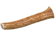 Redbarn Antler Solid Medium
