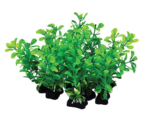 Aquatop Aquarium Plants Mix Green, 1ea/6 in, 12 pk