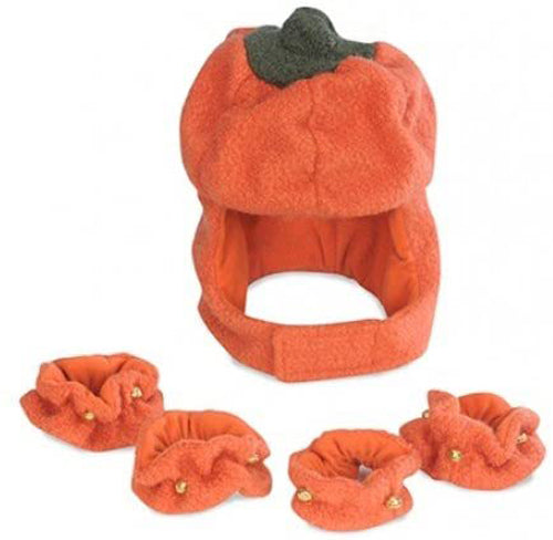 Hugglehounds Dog Fall Harvest Pumpkin Large