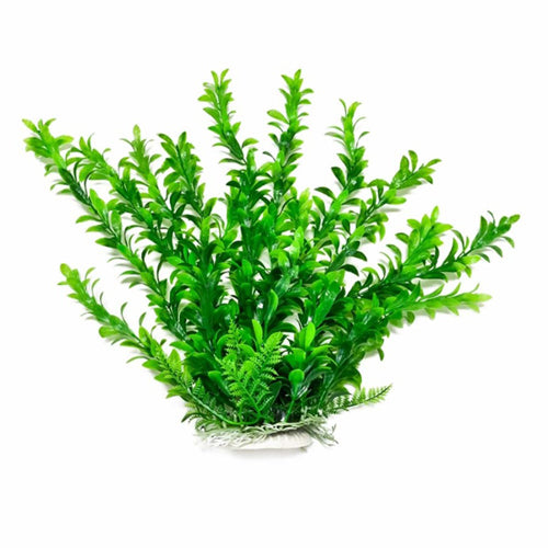 Aquatop Anacharis Aquarium Plant with Weighted Base Green, 1ea/6 in