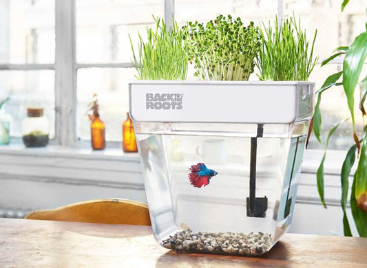 Back to the Roots Water Garden Aquaponic Eco System Clear, White 3 gallons